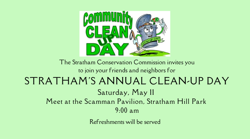 clean up Stratham day