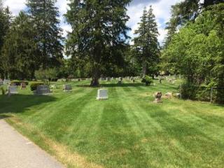 Cemetery photo